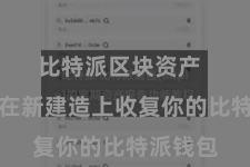 比特派区块资产  你才调在新建造上收复你的比特派钱包